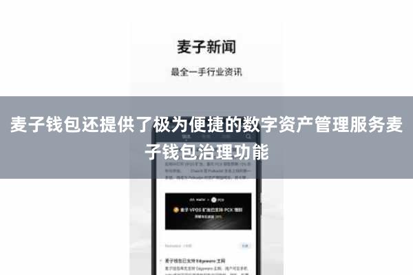 麦子钱包还提供了极为便捷的数字资产管理服务麦子钱包治理功能