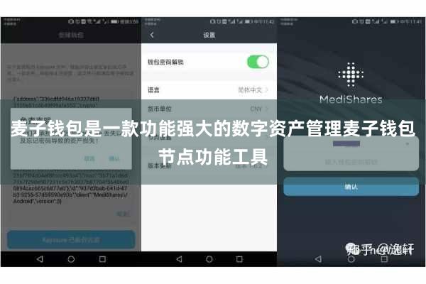 麦子钱包是一款功能强大的数字资产管理麦子钱包节点功能工具