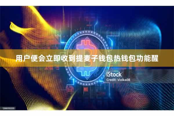 用户便会立即收到提麦子钱包热钱包功能醒