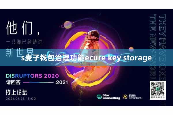 s麦子钱包治理功能ecure key storage