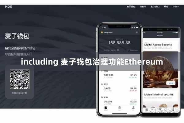 including 麦子钱包治理功能Ethereum