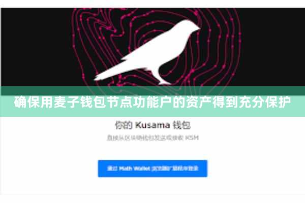 确保用麦子钱包节点功能户的资产得到充分保护