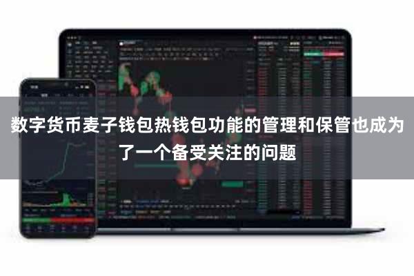 数字货币麦子钱包热钱包功能的管理和保管也成为了一个备受关注的问题