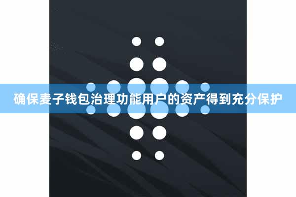 确保麦子钱包治理功能用户的资产得到充分保护