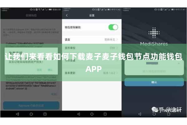 让我们来看看如何下载麦子麦子钱包节点功能钱包APP