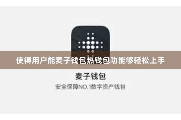 使得用户能麦子钱包热钱包功能够轻松上手