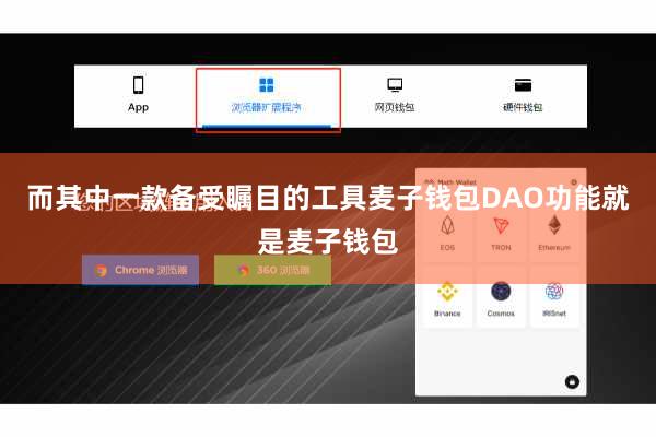 而其中一款备受瞩目的工具麦子钱包DAO功能就是麦子钱包