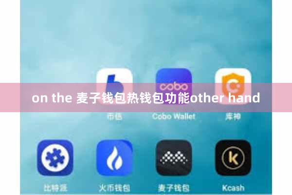 on the 麦子钱包热钱包功能other hand