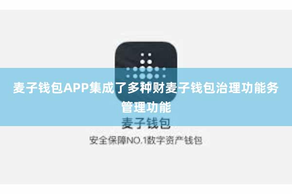 麦子钱包APP集成了多种财麦子钱包治理功能务管理功能