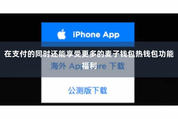 在支付的同时还能享受更多的麦子钱包热钱包功能福利