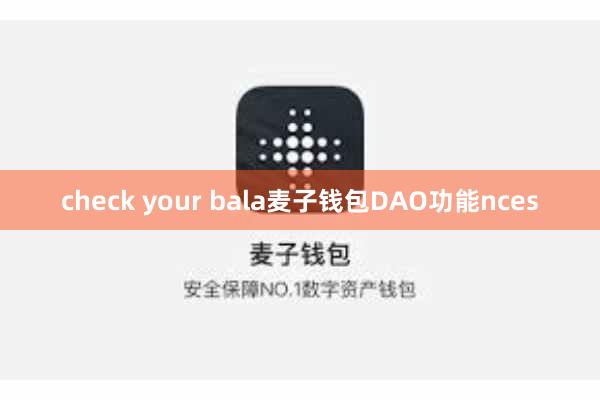 check your bala麦子钱包DAO功能nces