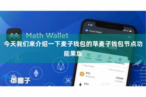 今天我们来介绍一下麦子钱包的苹麦子钱包节点功能果版