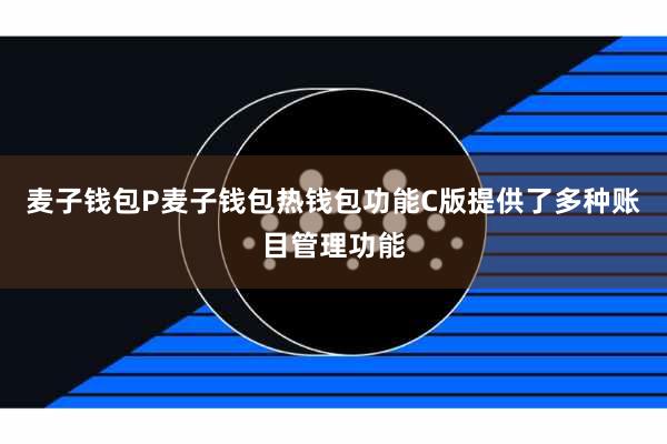 麦子钱包P麦子钱包热钱包功能C版提供了多种账目管理功能