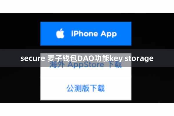 secure 麦子钱包DAO功能key storage