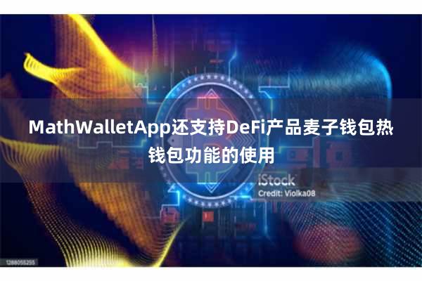 MathWalletApp还支持DeFi产品麦子钱包热钱包功能的使用
