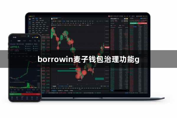 borrowin麦子钱包治理功能g