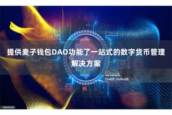 提供麦子钱包DAO功能了一站式的数字货币管理解决方案