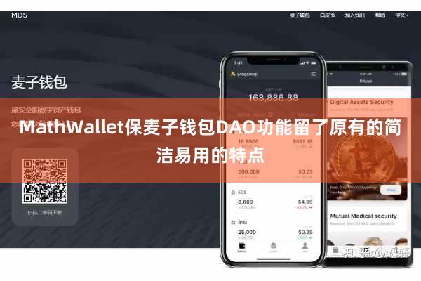 MathWallet保麦子钱包DAO功能留了原有的简洁易用的特点