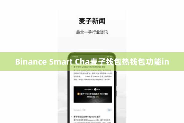 Binance Smart Cha麦子钱包热钱包功能in