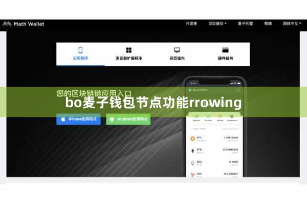 bo麦子钱包节点功能rrowing