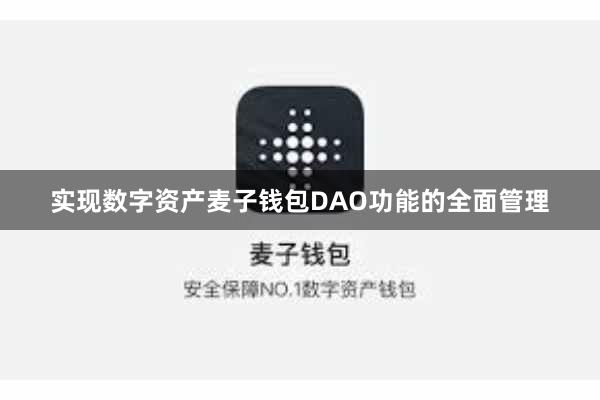 实现数字资产麦子钱包DAO功能的全面管理
