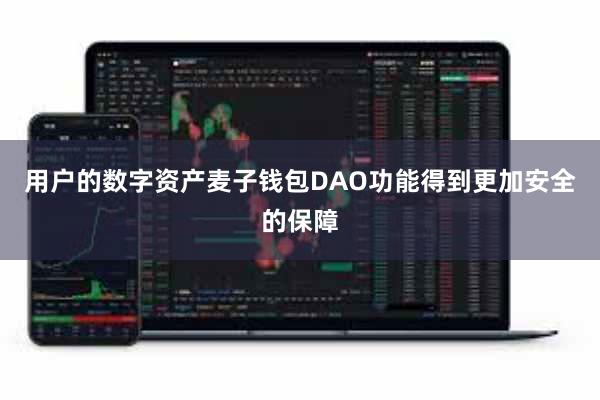 用户的数字资产麦子钱包DAO功能得到更加安全的保障