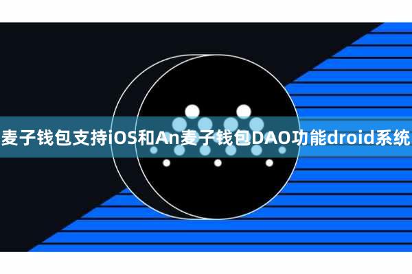 麦子钱包支持iOS和An麦子钱包DAO功能droid系统