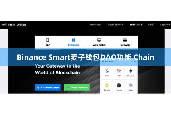 Binance Smart麦子钱包DAO功能 Chain